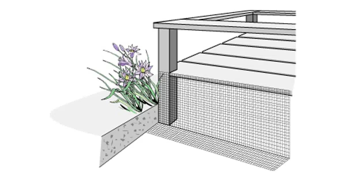 What is a Rat Wall? Creature Control