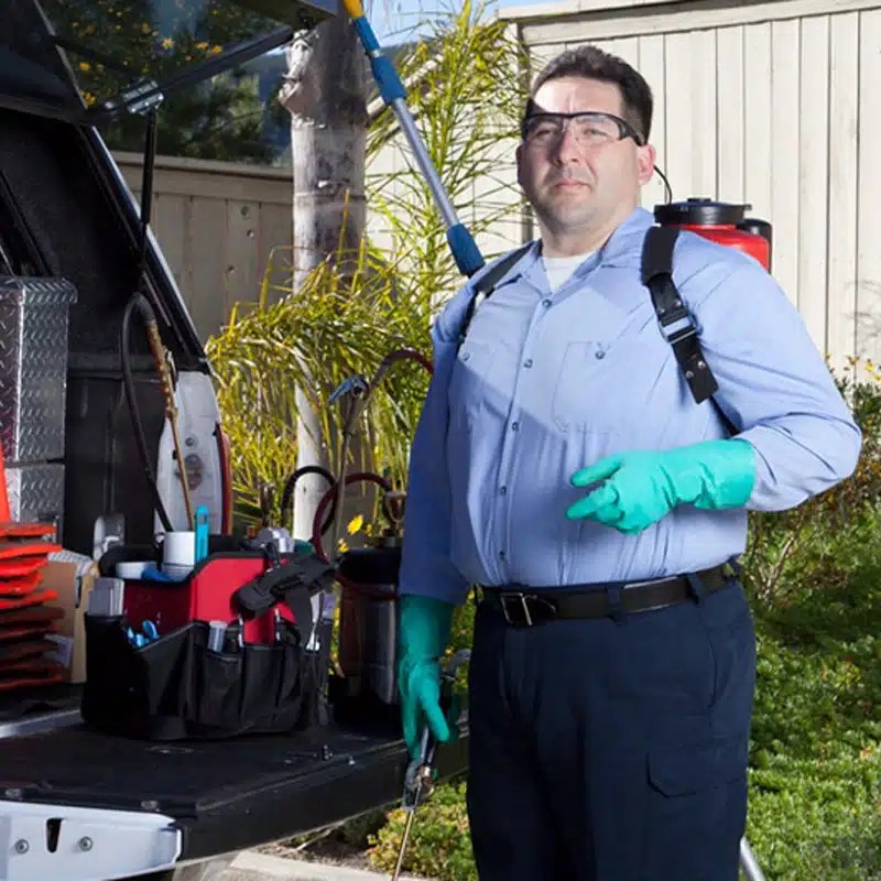 Animal Waste CleanUp Michigan Creature Control