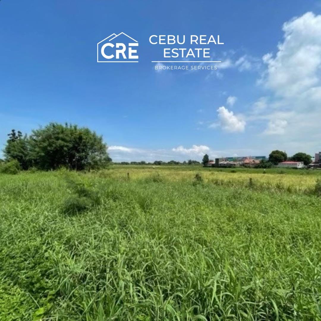 General Trias, Cavite Philippines 30000 SQM Cebu Real Estate Brokerage