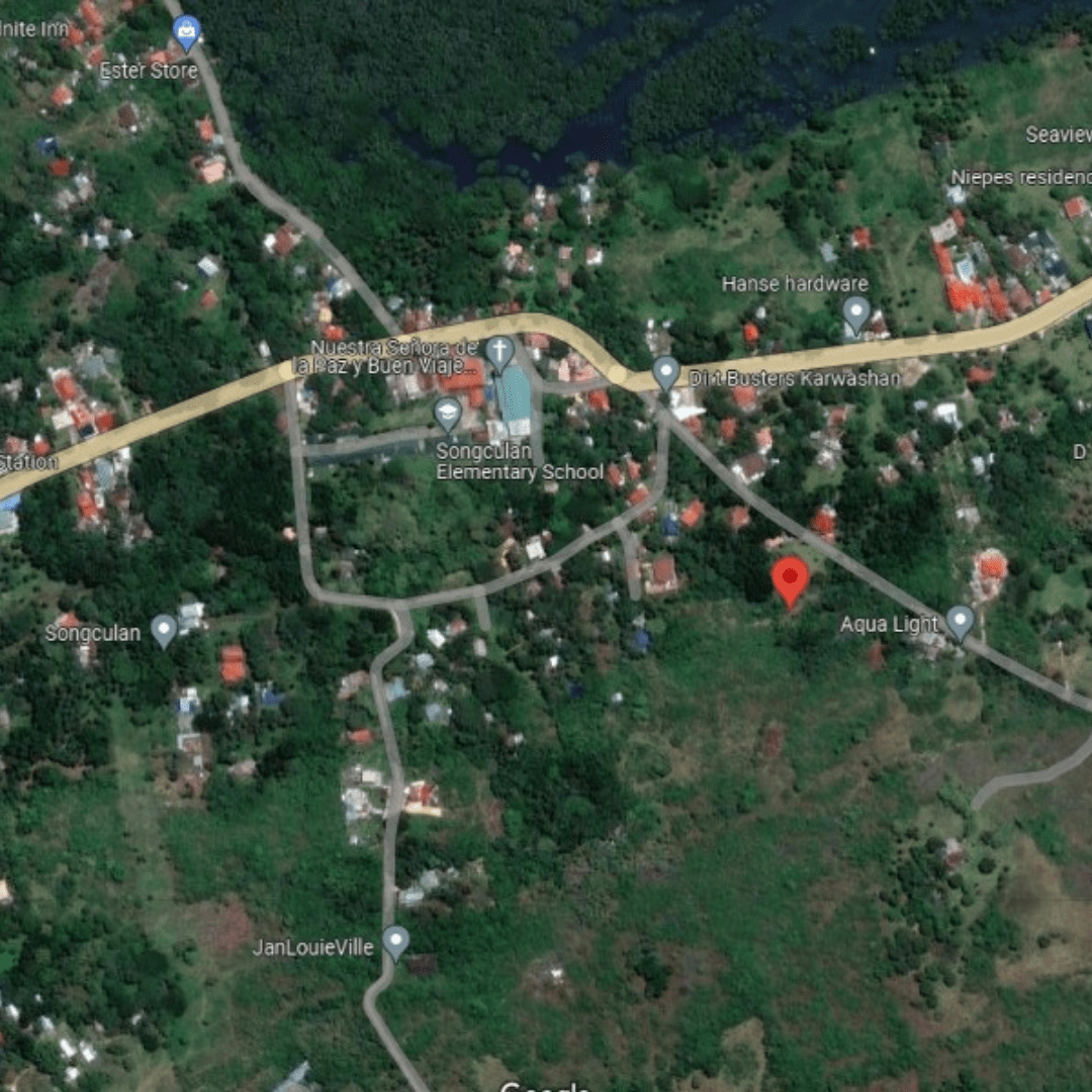FOR SALE Two Adjacent Lots at Dauis, Bohol 2,428 SQM — Cebu Real