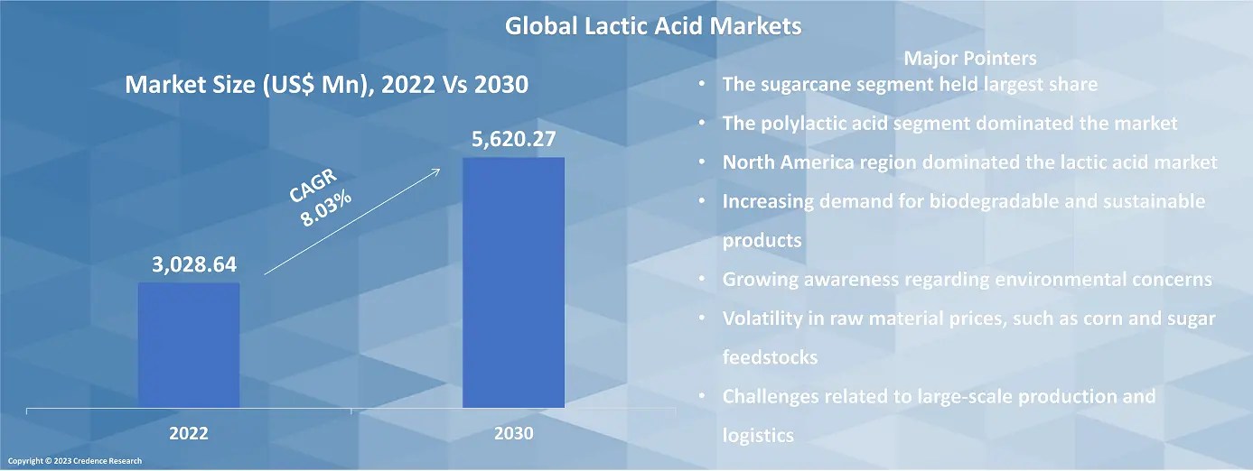 Lactic Acid Market Size & Growth Report US, Europe, Asia 2030