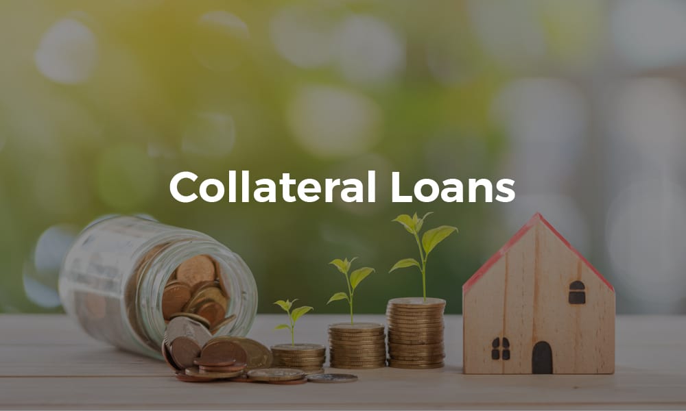 Guides & Types Of Small Business Loans Credibly