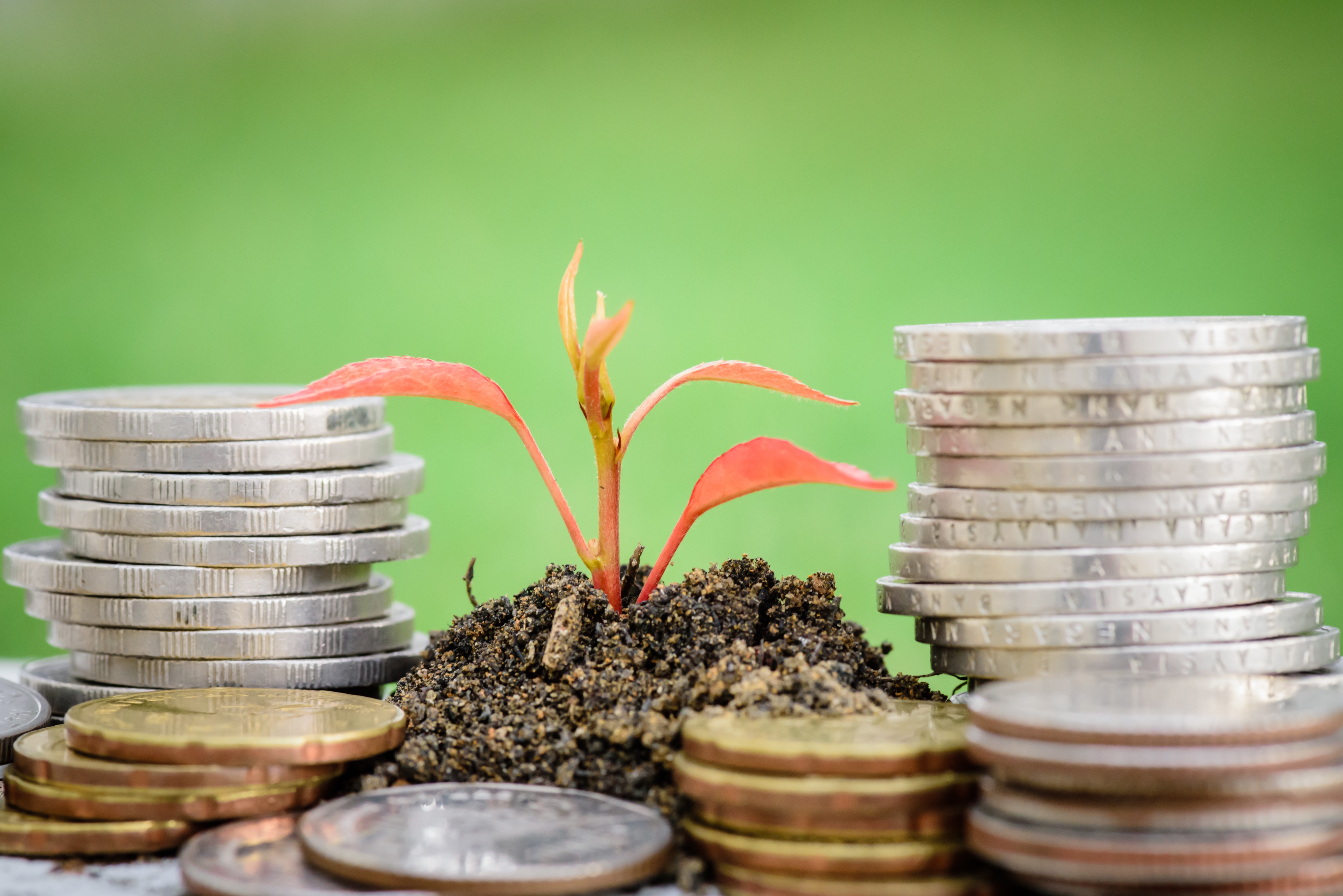 10 Ways to Earn Some Extra Cash