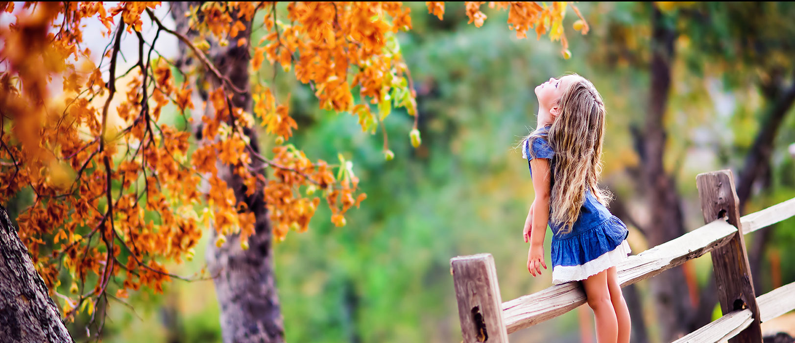 Creekview Estates HOA. A residential community in San Antonio, Texas