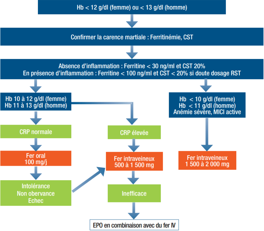 Fiches de Carence martiale et anémies dans les MICI