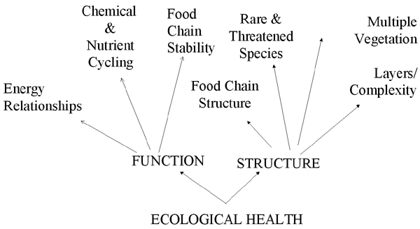 Biomonitoring And Bioindicators For Human And Ecological Health