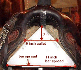 Understanding Saddle Fit - Crest Ridge Saddlery, LLC