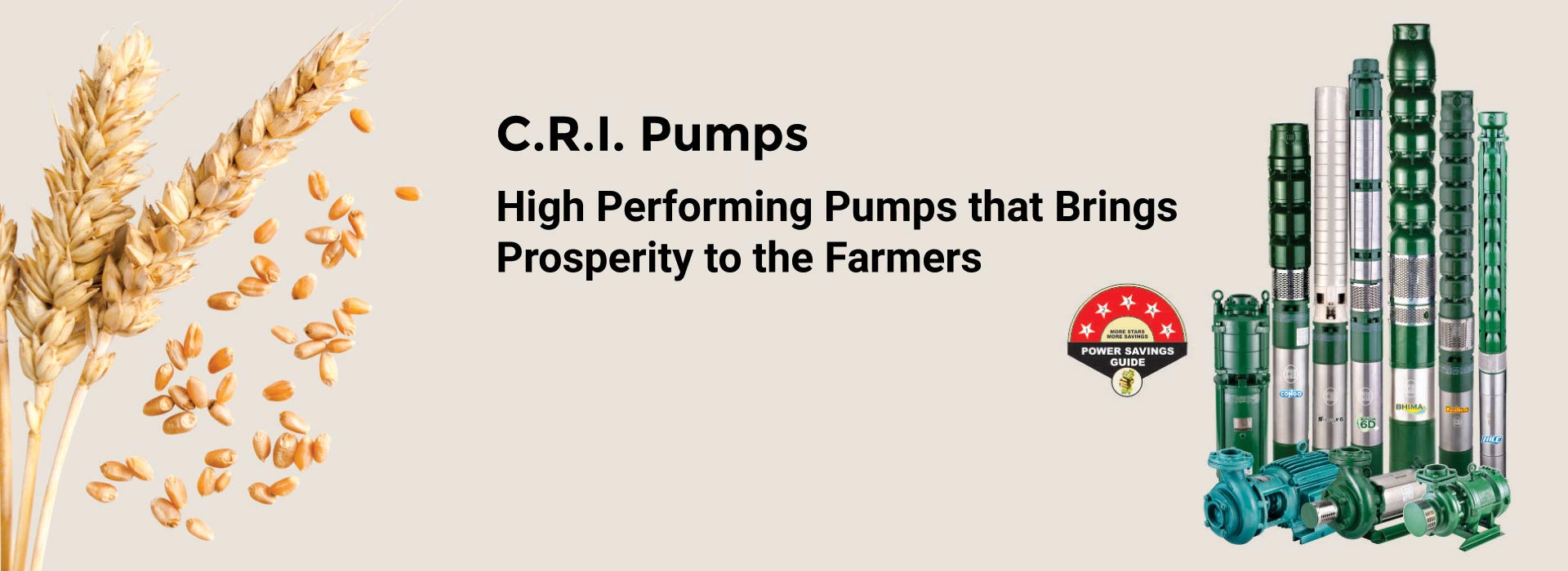 Pumps Manufactures in India CRI Pumps