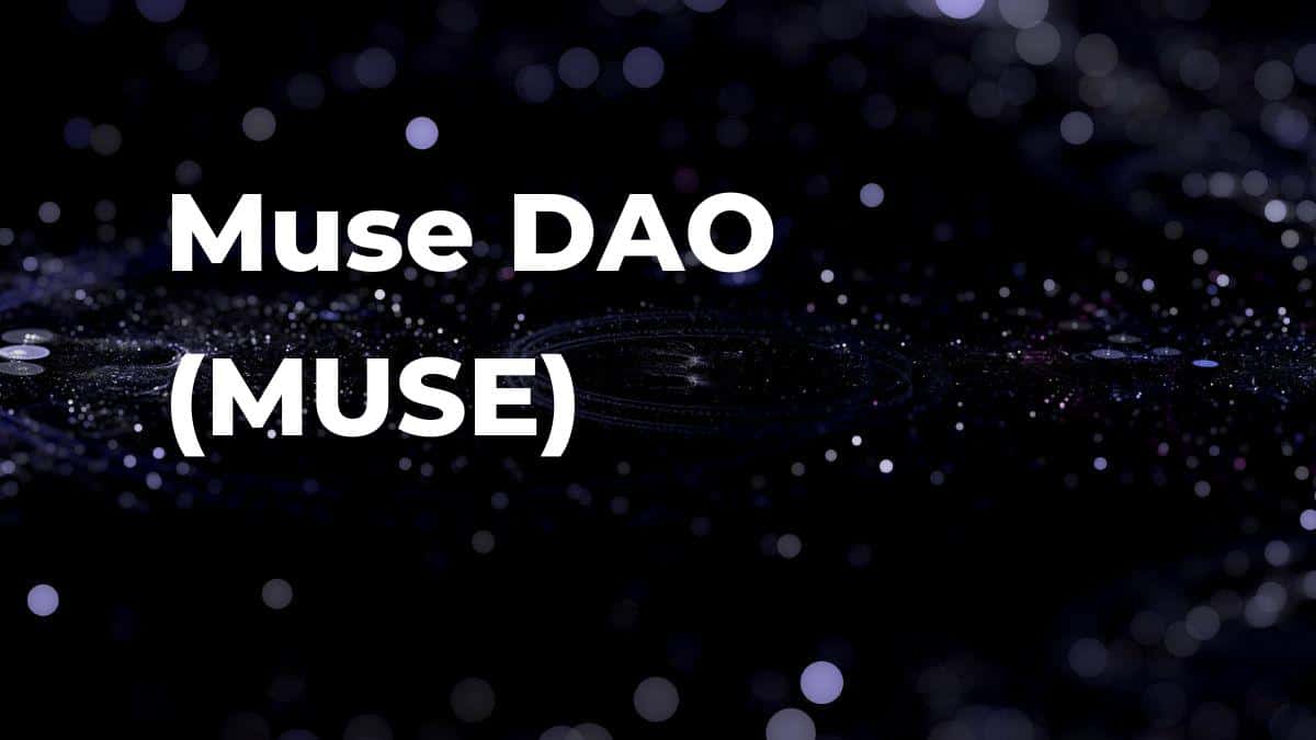 What is Muse DAO (MUSE)? Price, exchange, project and general information