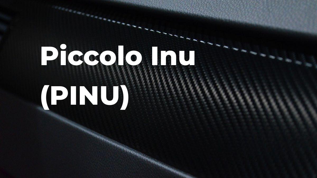 What is Piccolo Inu (PINU)? Price, exchange, project and general