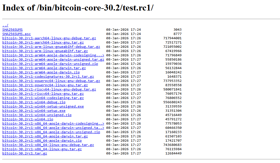 Liste des fichiers téléchargeables pour la version v.30.2 du logiciel Bitcoin Core.
