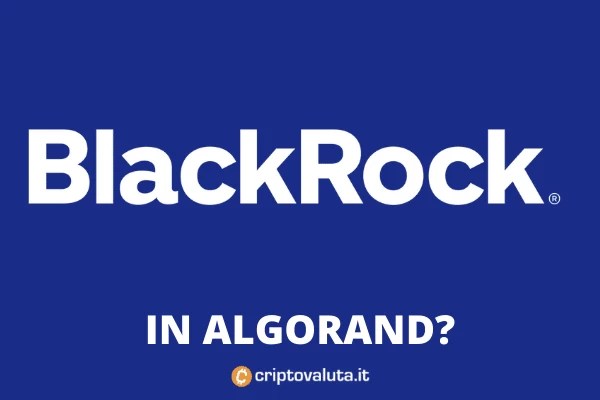 +RUMORS+ Blackrock entra in Algorand! Criptovaluta.it