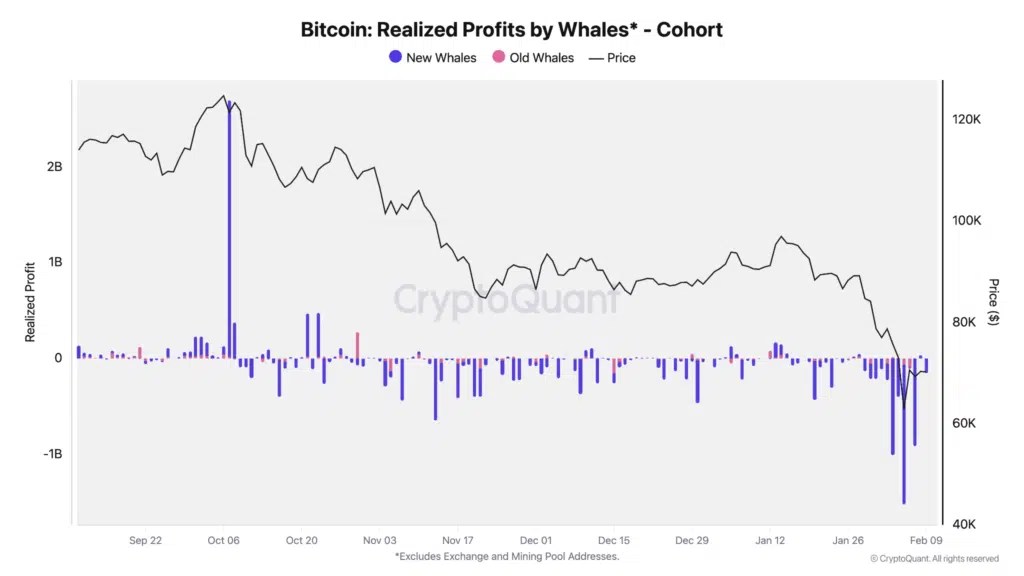 Pertes de Bitcoin des baleines