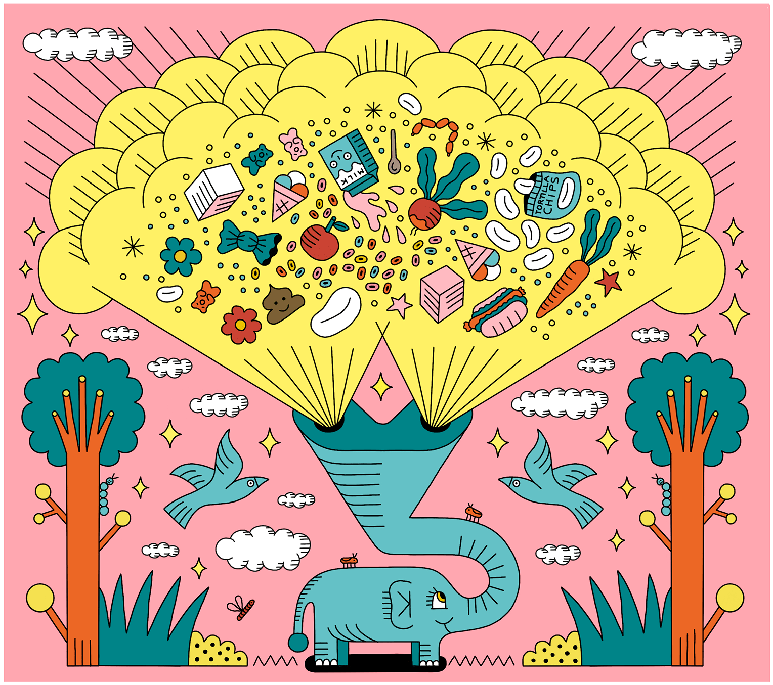 The Elephant Trunk Cristina Spano