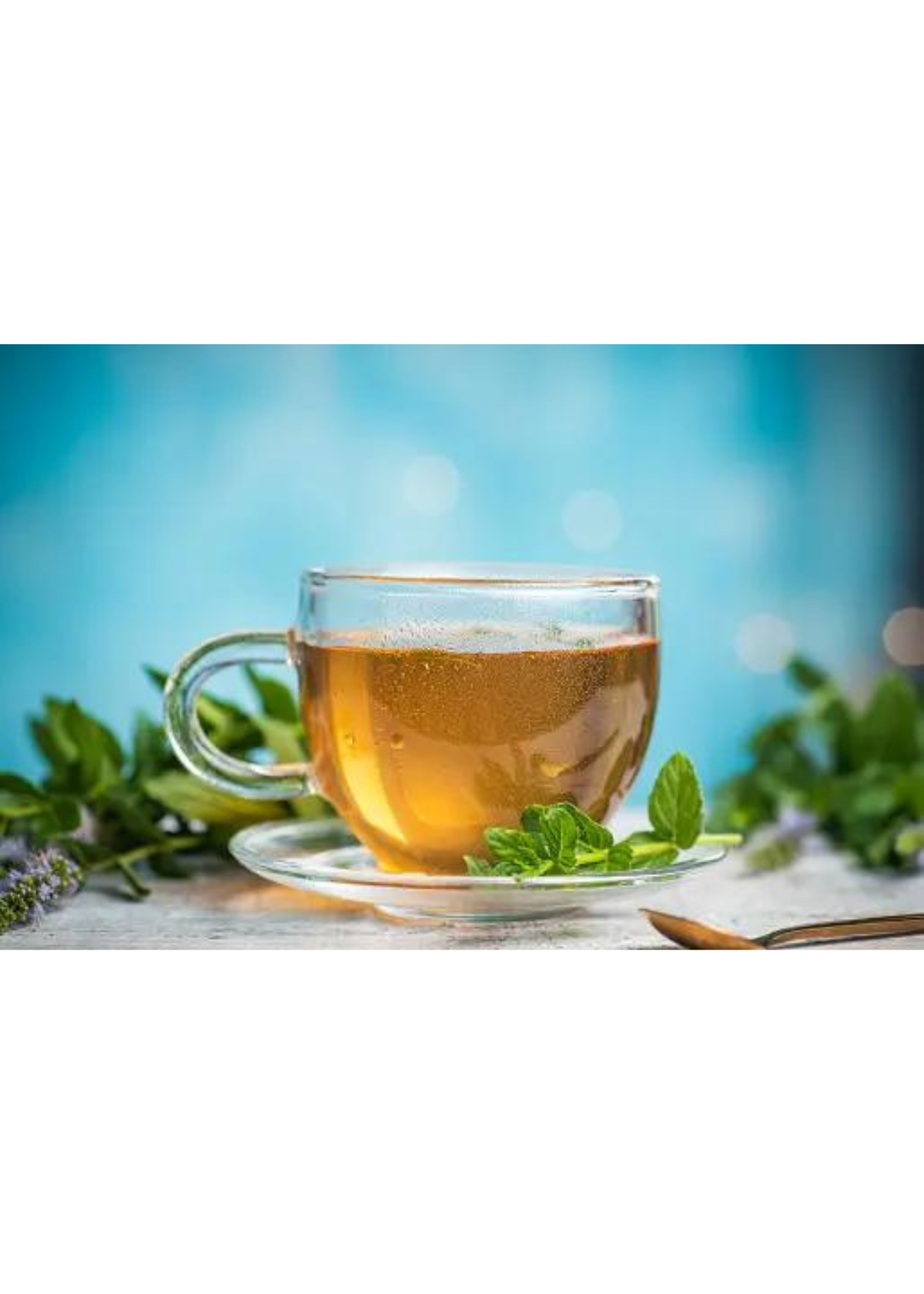 Discover the Best Peppermint Tea Brands Top Picks Reviewed