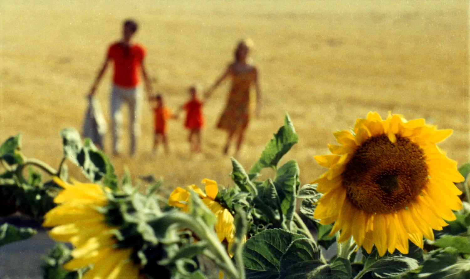 Critique Le Bonheur, un film de Agnès Varda