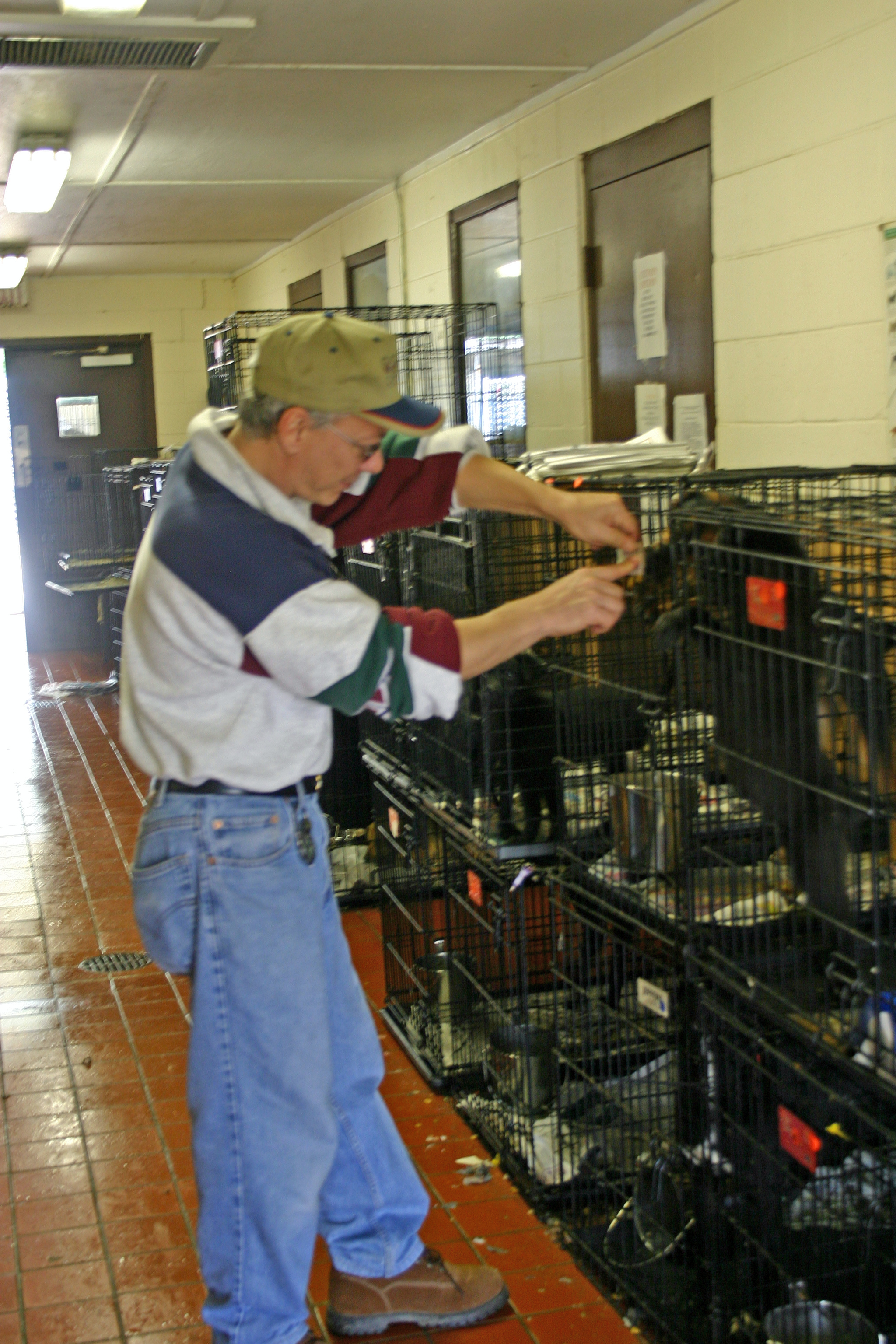 Hurricane Katrina Pet Rescue Critter Camp Pet Grooming & Boarding