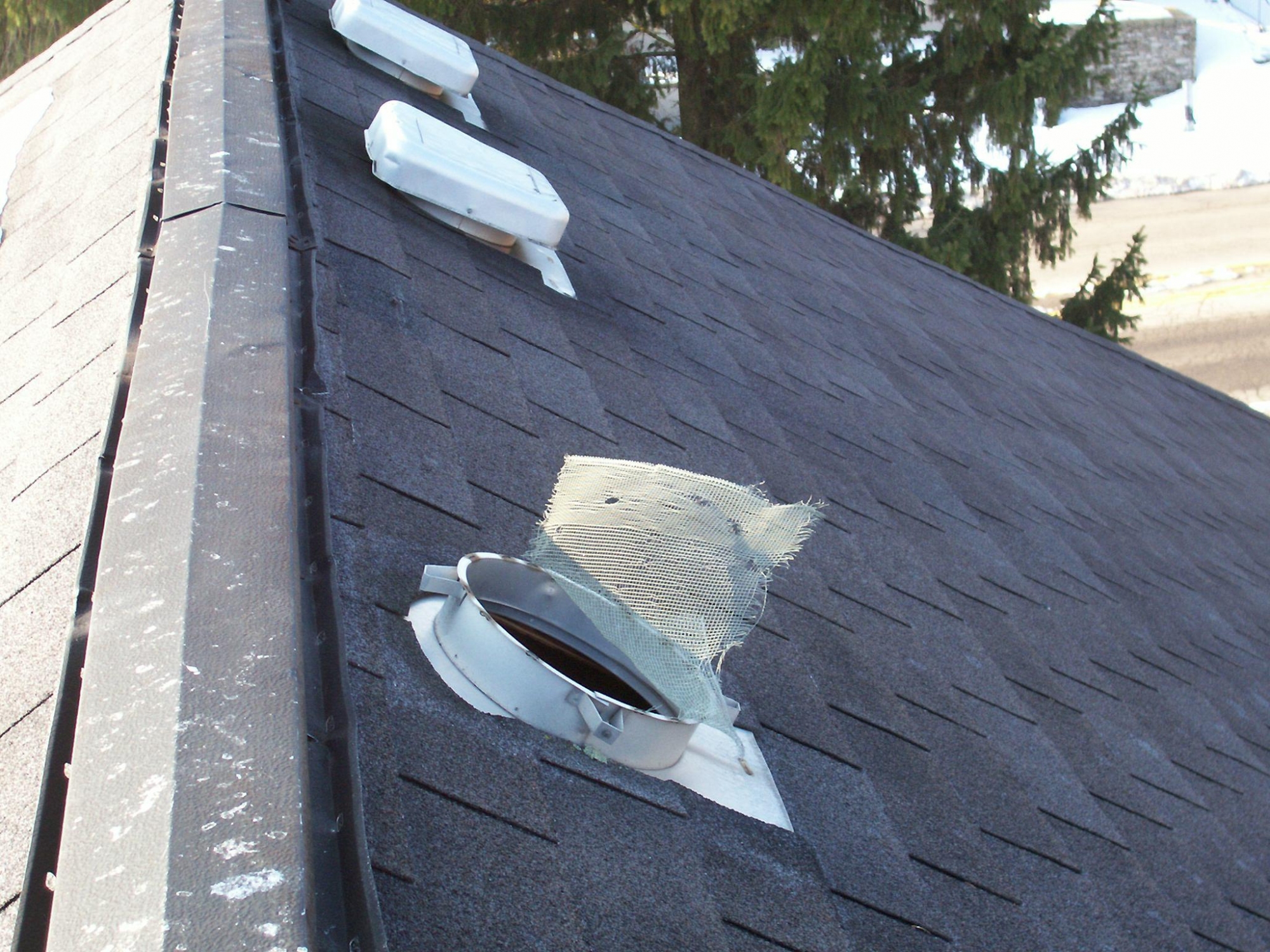 Louver Vent, Attic, & Soffit Exclusion Techniques Critter Control of