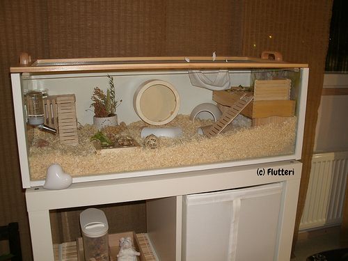 IKEA Hamster Cage Ideas Critter Mamas