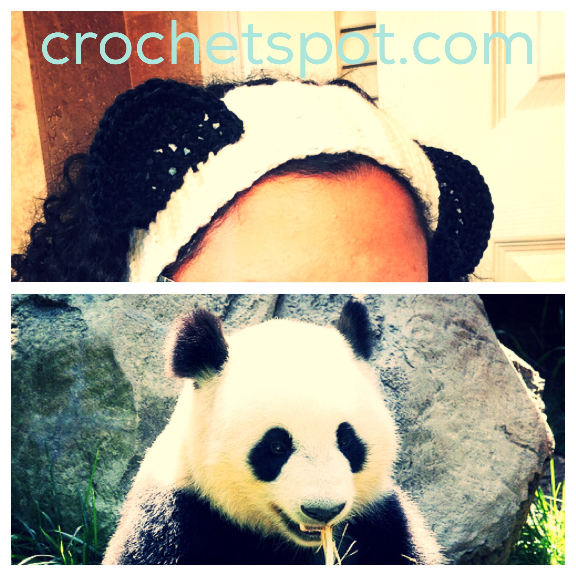 Crochet Spot » Blog Archive » Crochet Pattern Panda Headband Crochet