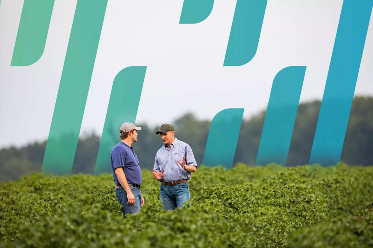 Harness Xtra 5.6L Herbicide Premix For Corn Crop Science US