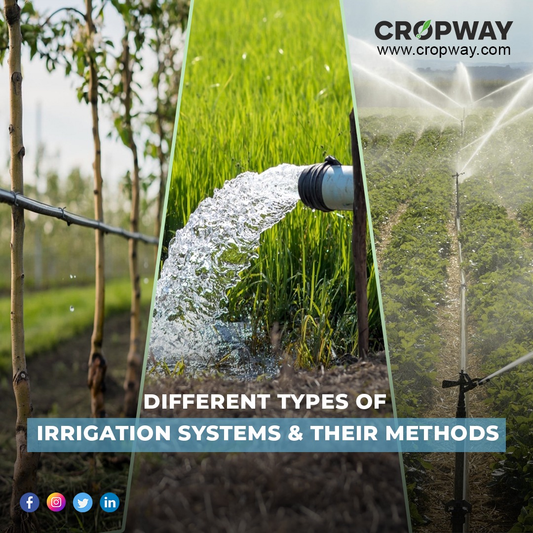 Different Types of Irrigation Systems & Their Methods CROPWAY