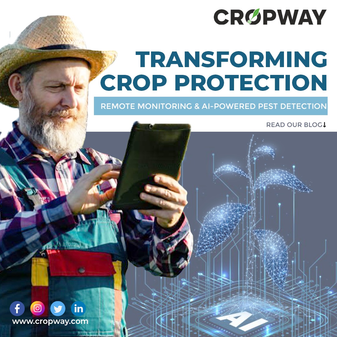 Transforming Crop Protection CROPWAY 2024