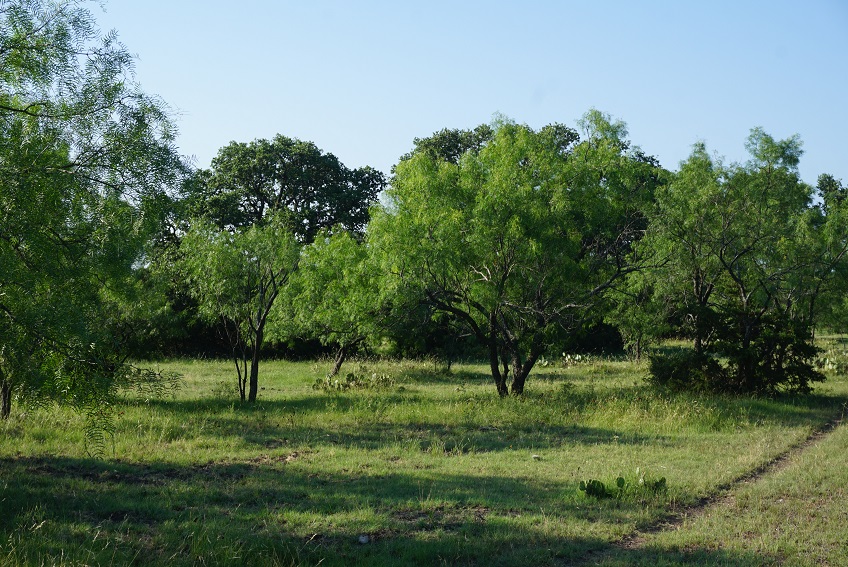 Luckenbach “A” Ranch, 1,031 Acres +/ in Menard County CrossbarLandCo
