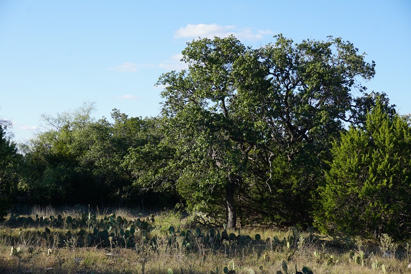 Luckenbach Ranch 1035 Acres in Menard County CrossbarLandCo
