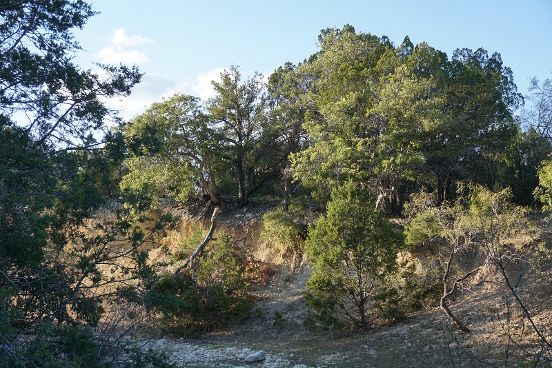 Luckenbach Ranch 1035 Acres in Menard County CrossbarLandCo