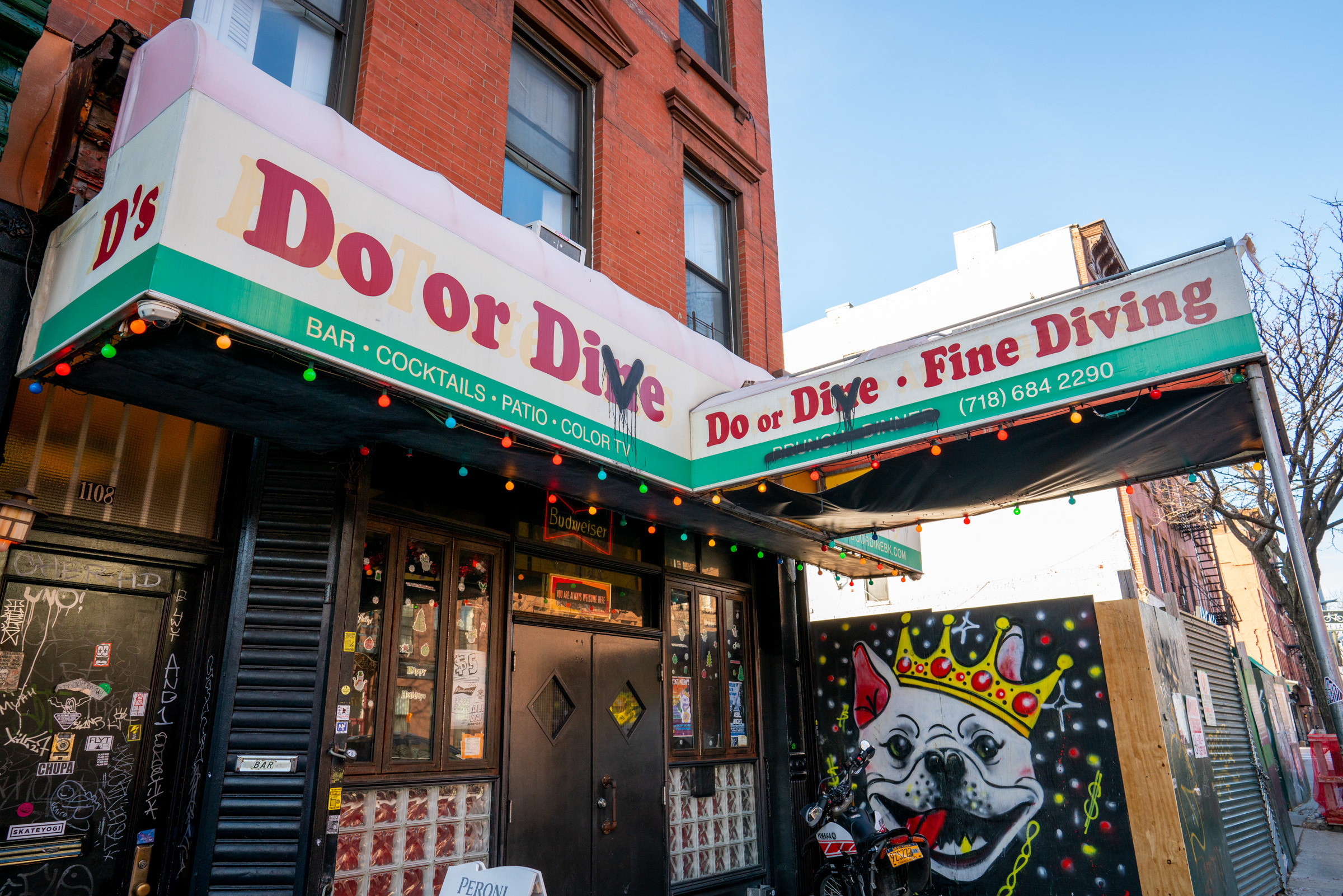 The Neighborhoods Project BedfordStuyvesant Crowd DNA