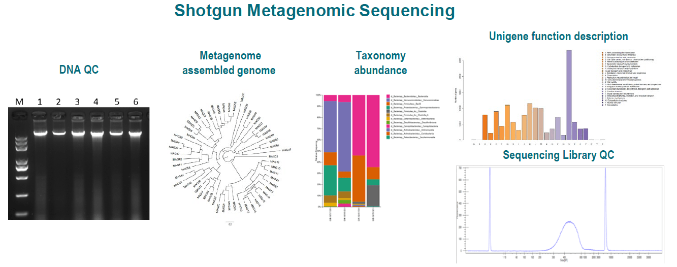 Next Generation Sequencing Services Crown Bioscience