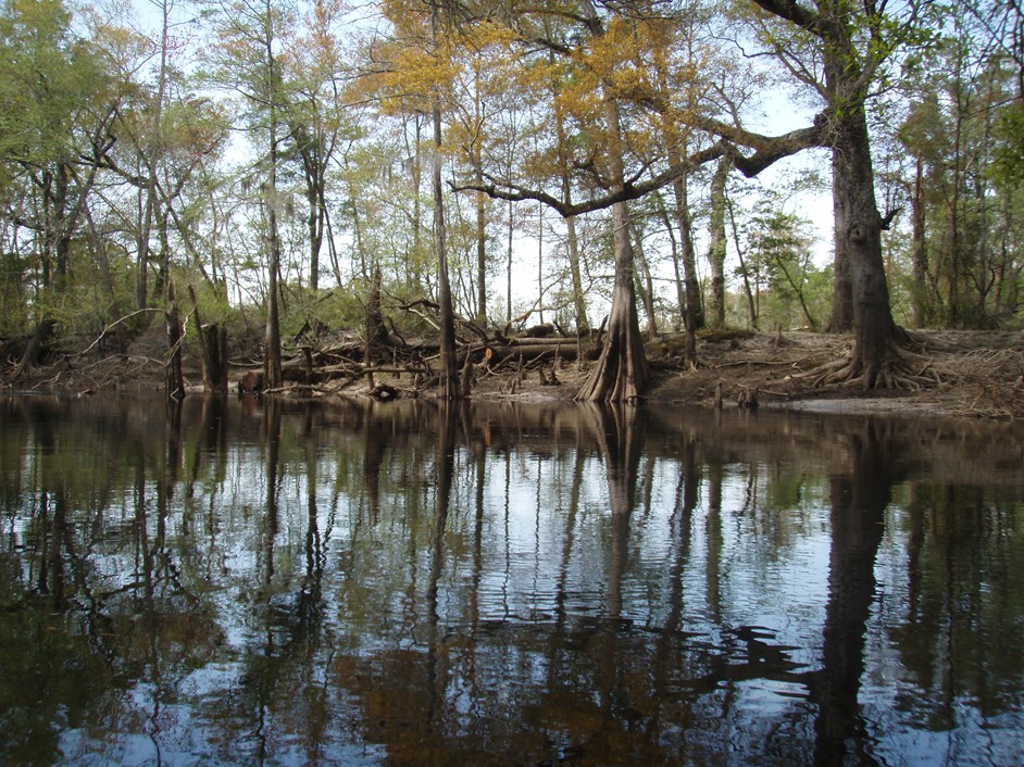 Kayak trip on the Waccamaw River.