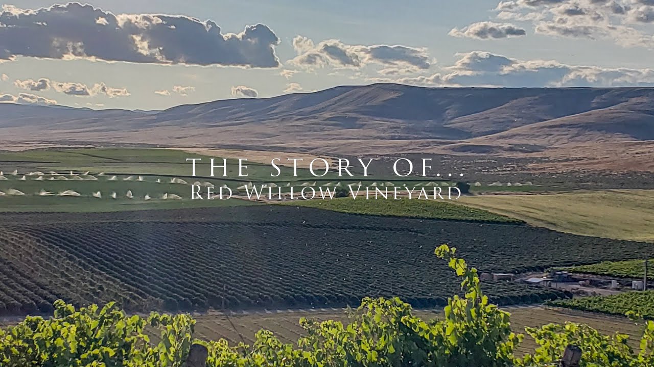 the story of Red Willow Vineyard Crushed Grape Chronicles