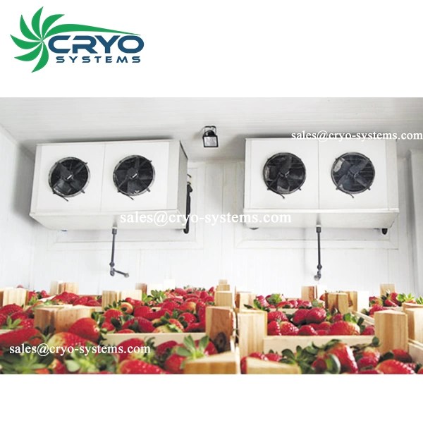 Cold rooms for fruits Cold room, condensing unit, refrigeration unit