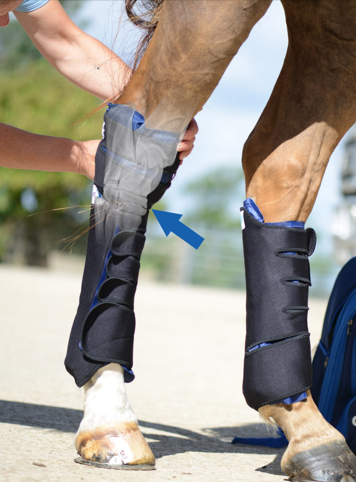 Cryochaps Absolute Wrap Ice Wraps For Horses Shop Here