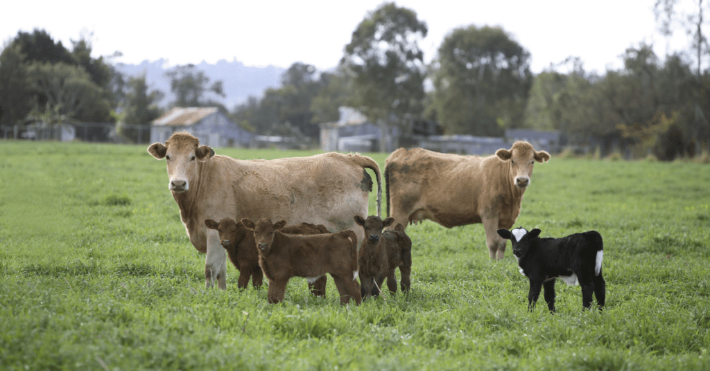 Improving Sustainability for Selective Breeding Programs with Secure