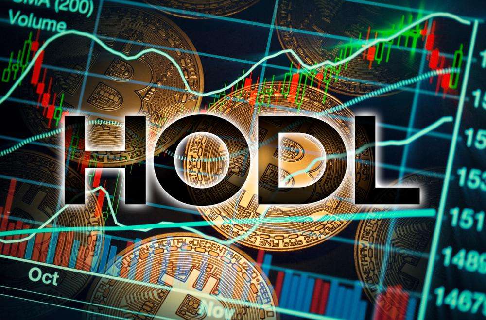 Reason For Crypto Market Crash Today / The Shemitah Cycle