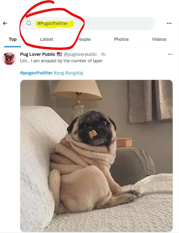 NFT Hashtags (The BEST NFT Hashtag Advice Ever!)