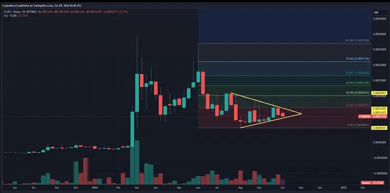 FLOKI Set to Take Off: Anticipating Significant Gains FLOKI chart