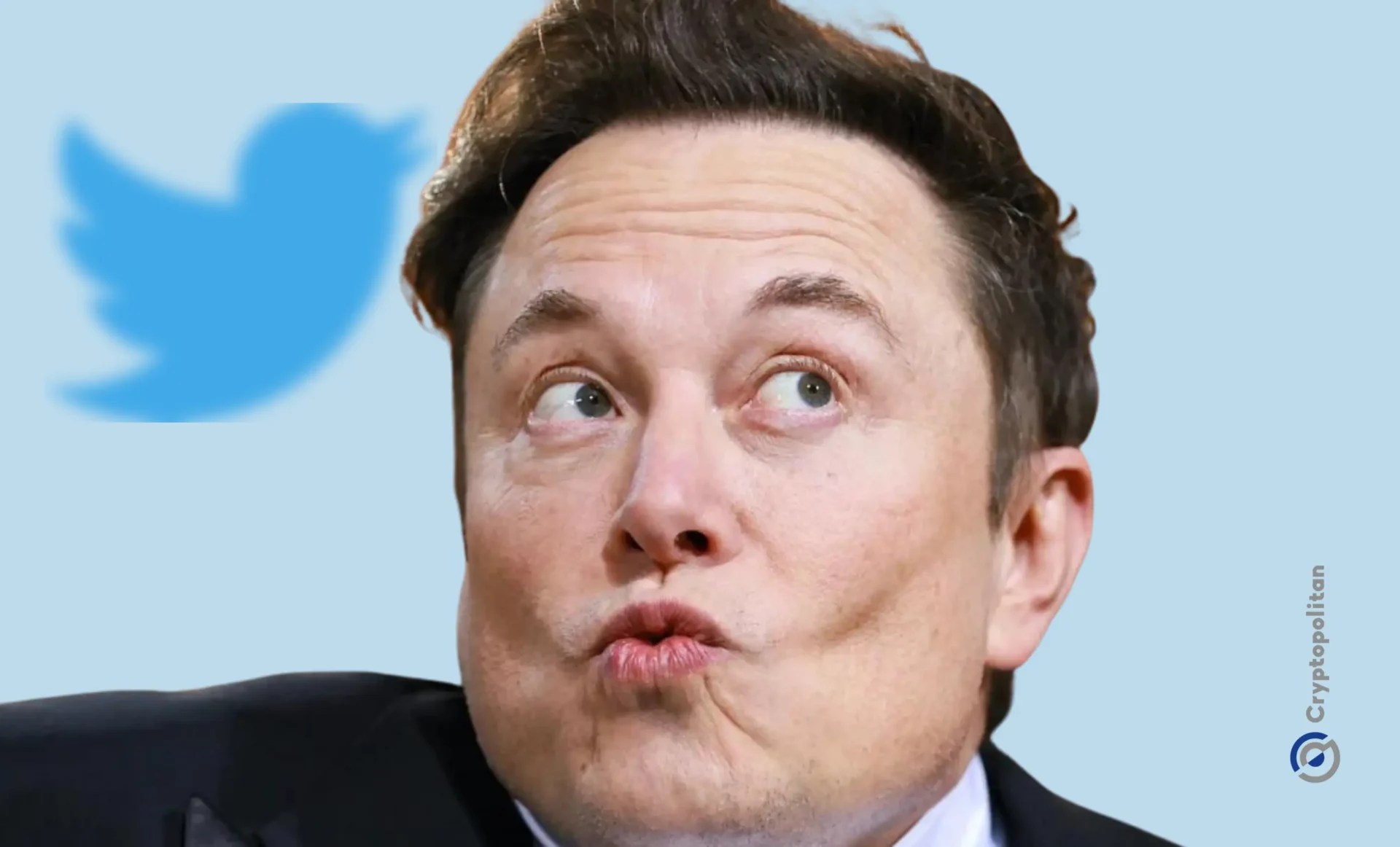 All the things that went wrong with Elon Musk’s Twitter takeover