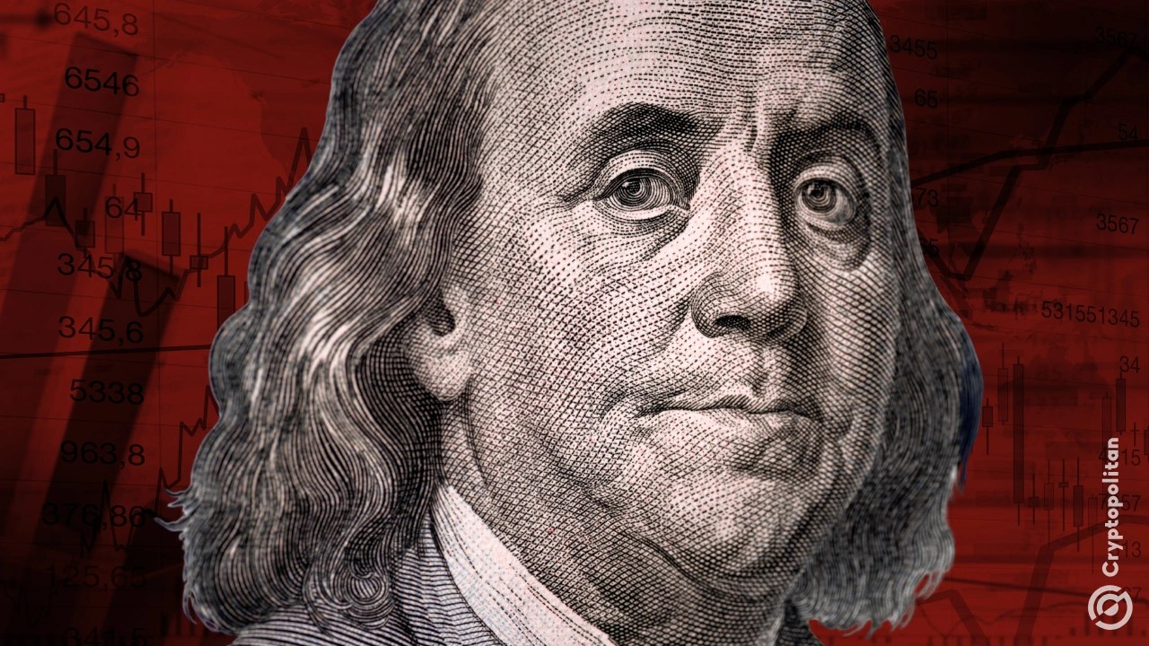 US dollar posts longest losing streak since April 2023 after labor market shock