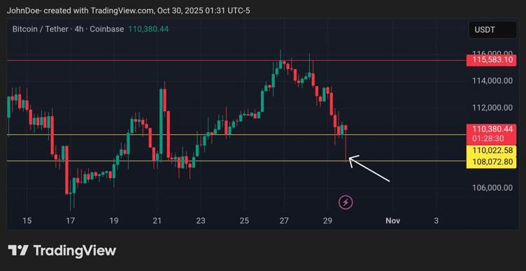 Top Crypto to Invest in as Bitcoin (BTC) Loses the $110,000 Level