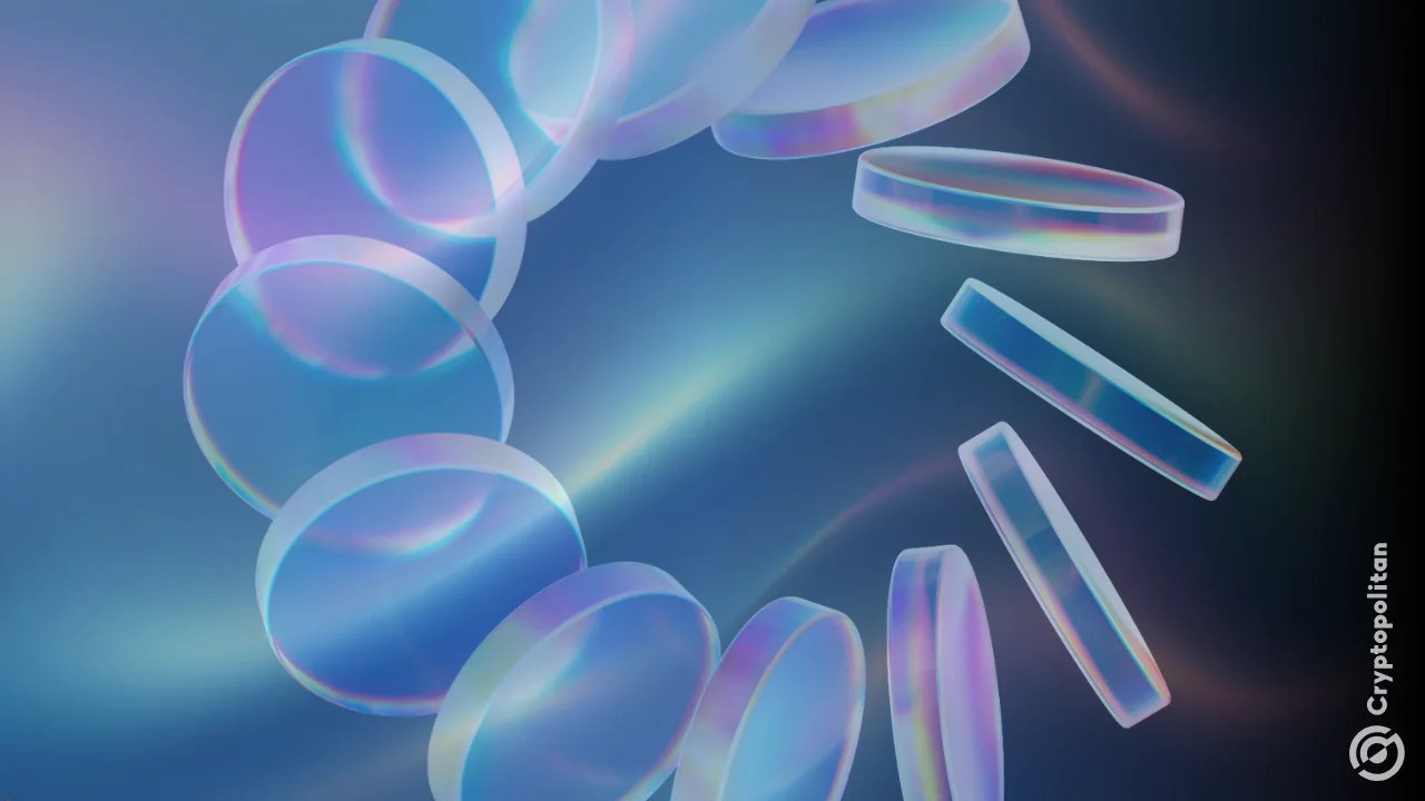 Privacy tokens cap dominant Q4 2025 defying negative headwind