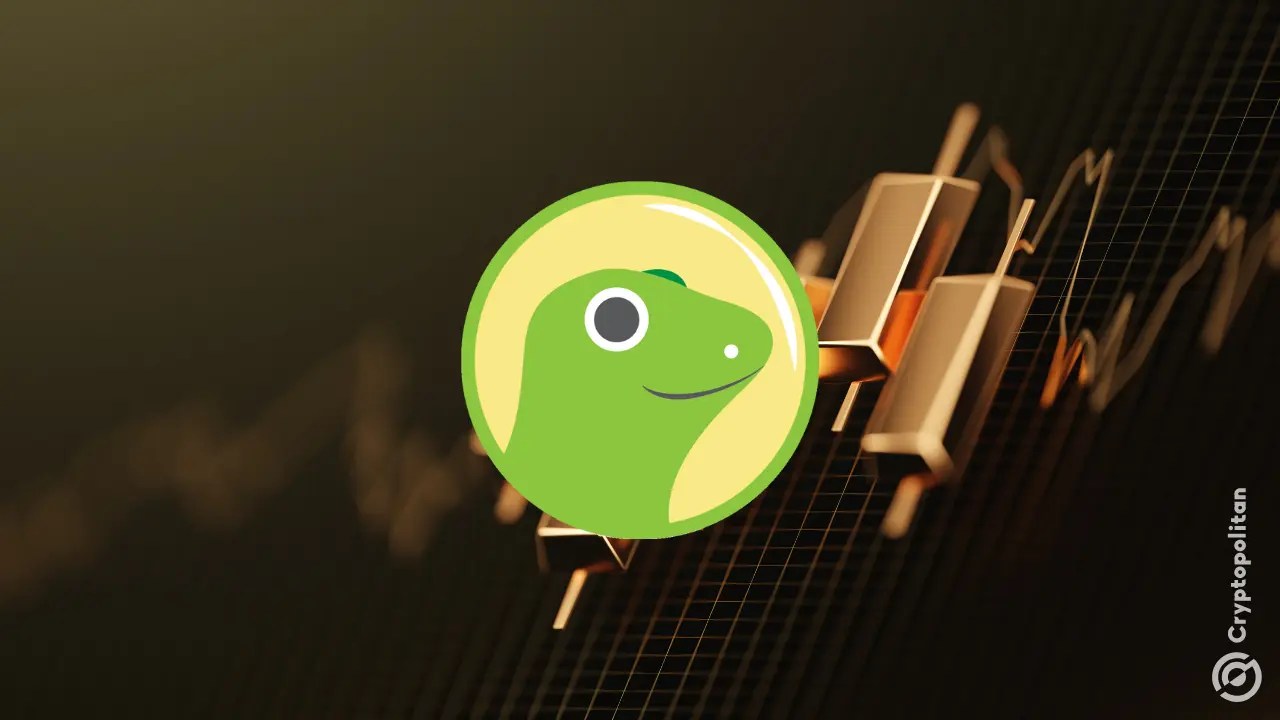 CoinGecko co-founder responds to sale rumors: ‘business as usual’