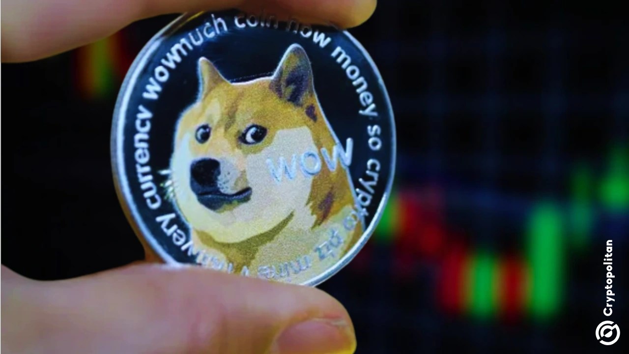 Meme coin market surges 23% as traders return to risk at start of 2026