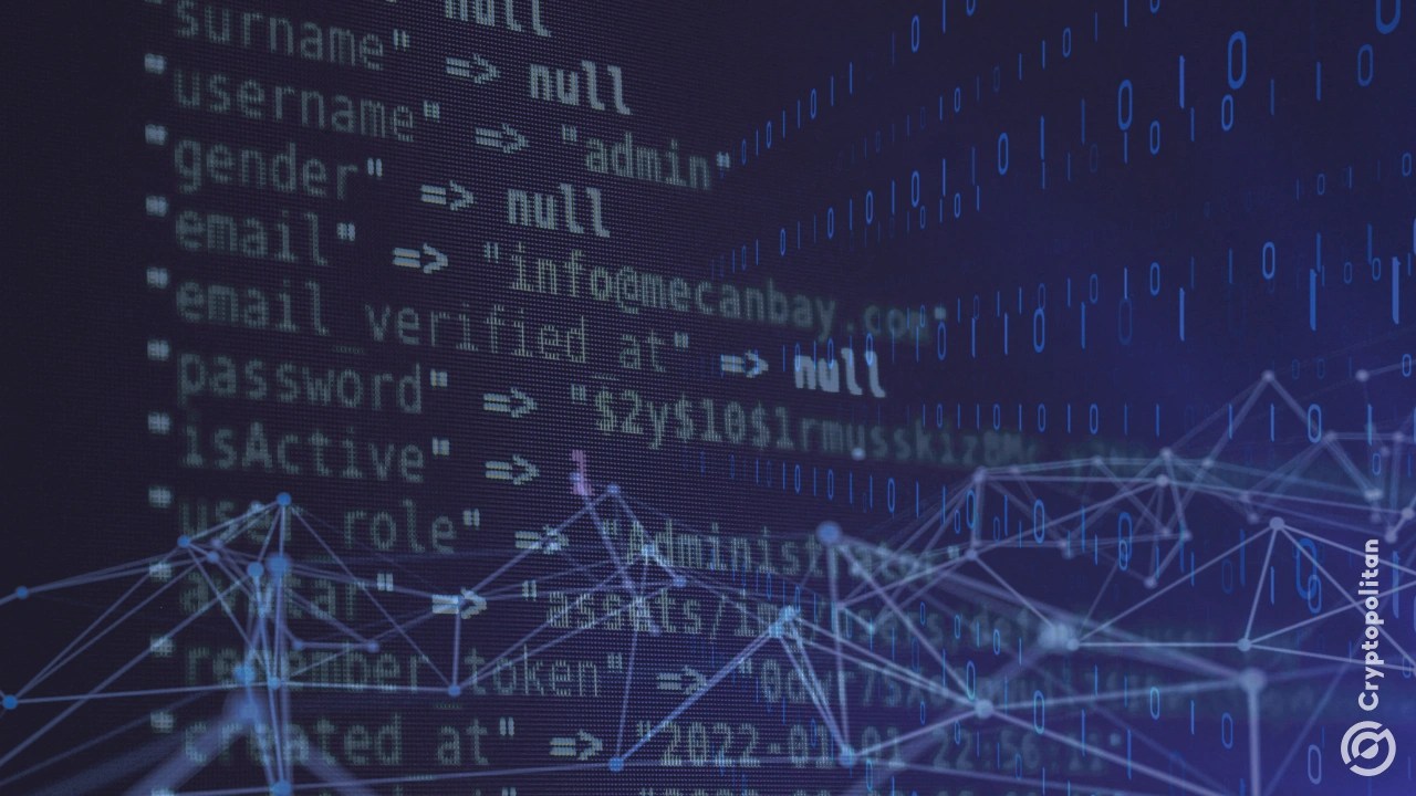 Vibe coding on Solana: platforms launch a new type of asset with risk warnings