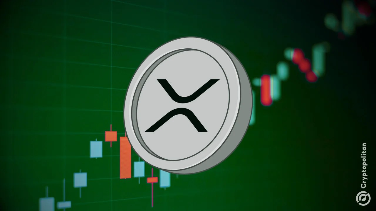 XRP millionaire wallets rise in 2026 as large holders accumulate