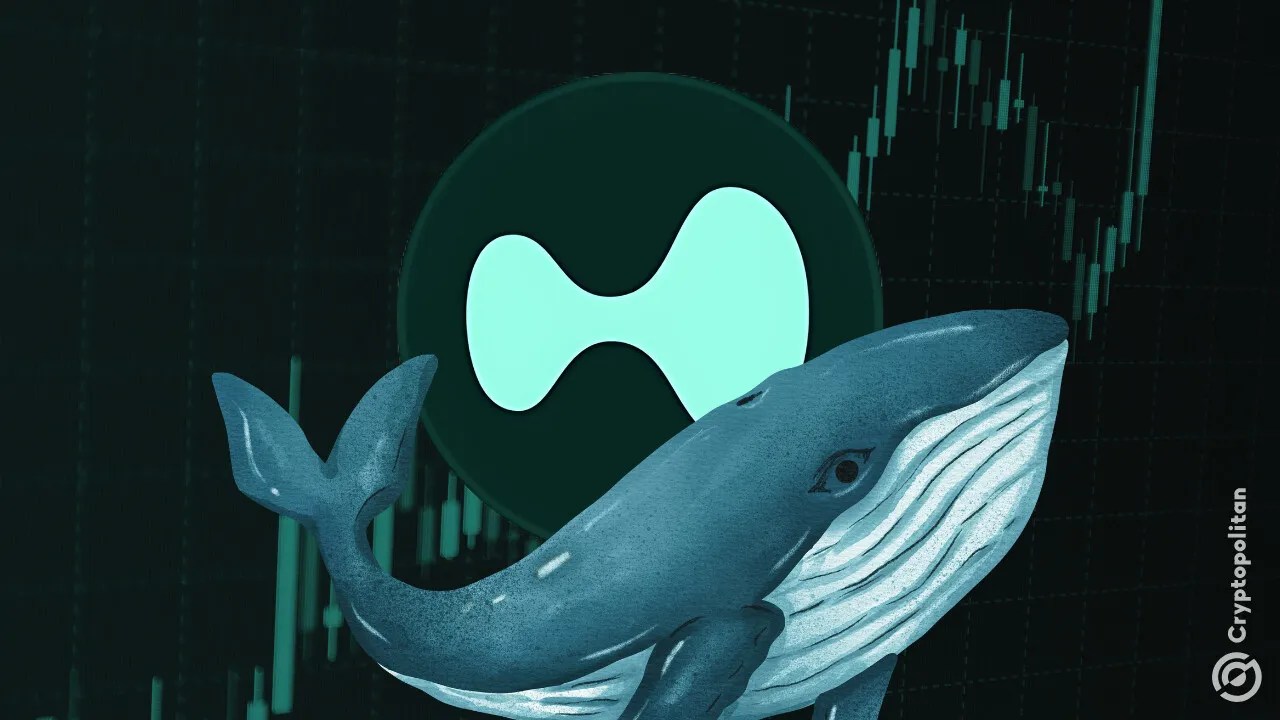 Hyperliquid whales shift into new oil futures