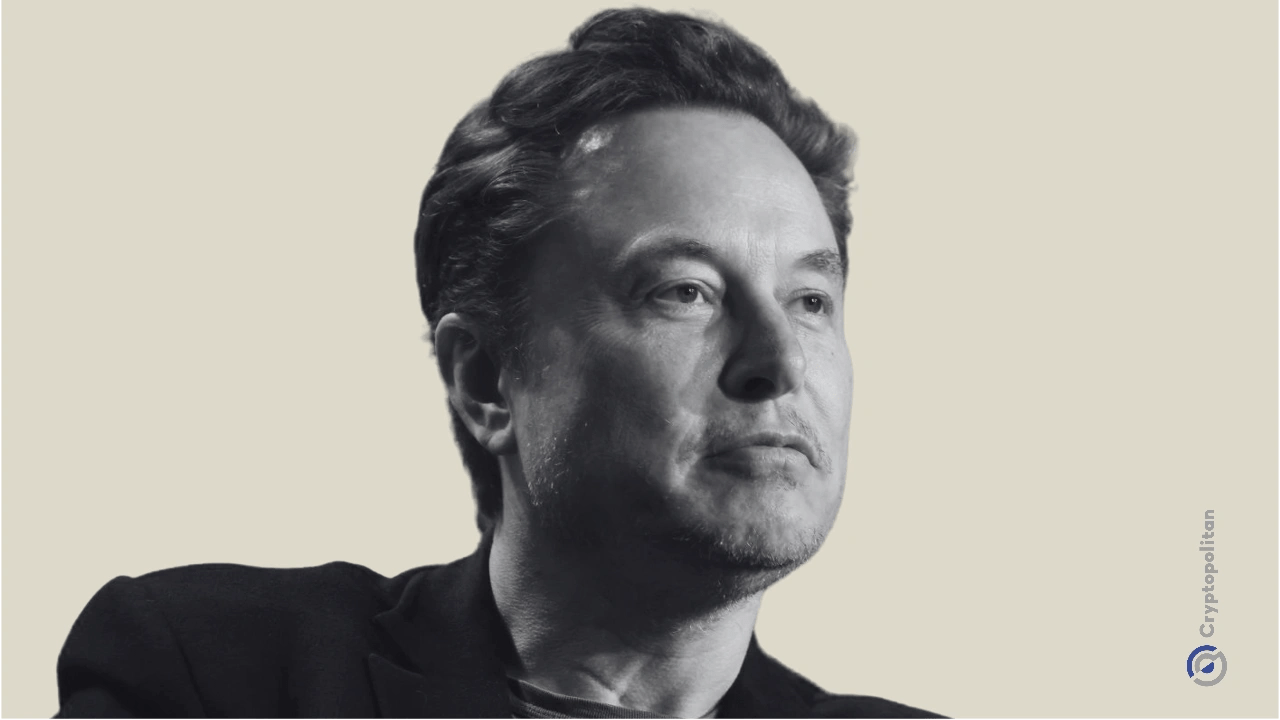 Elon Musk says his companies will keep buying Nvidia chips, touts long-term friendship with Jensen Huang